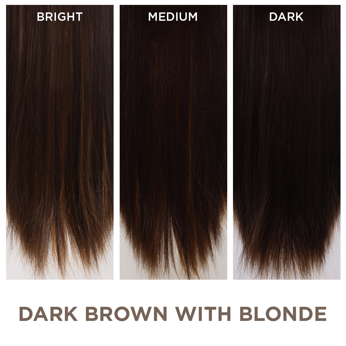 Dark Brown with Blonde Highlight