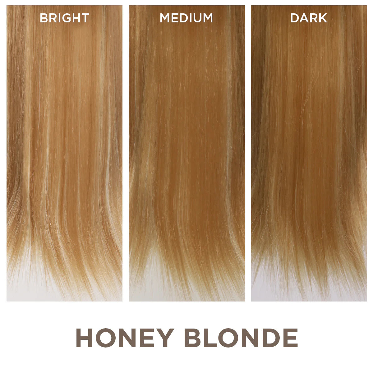 Honey Blonde / 22 Inch