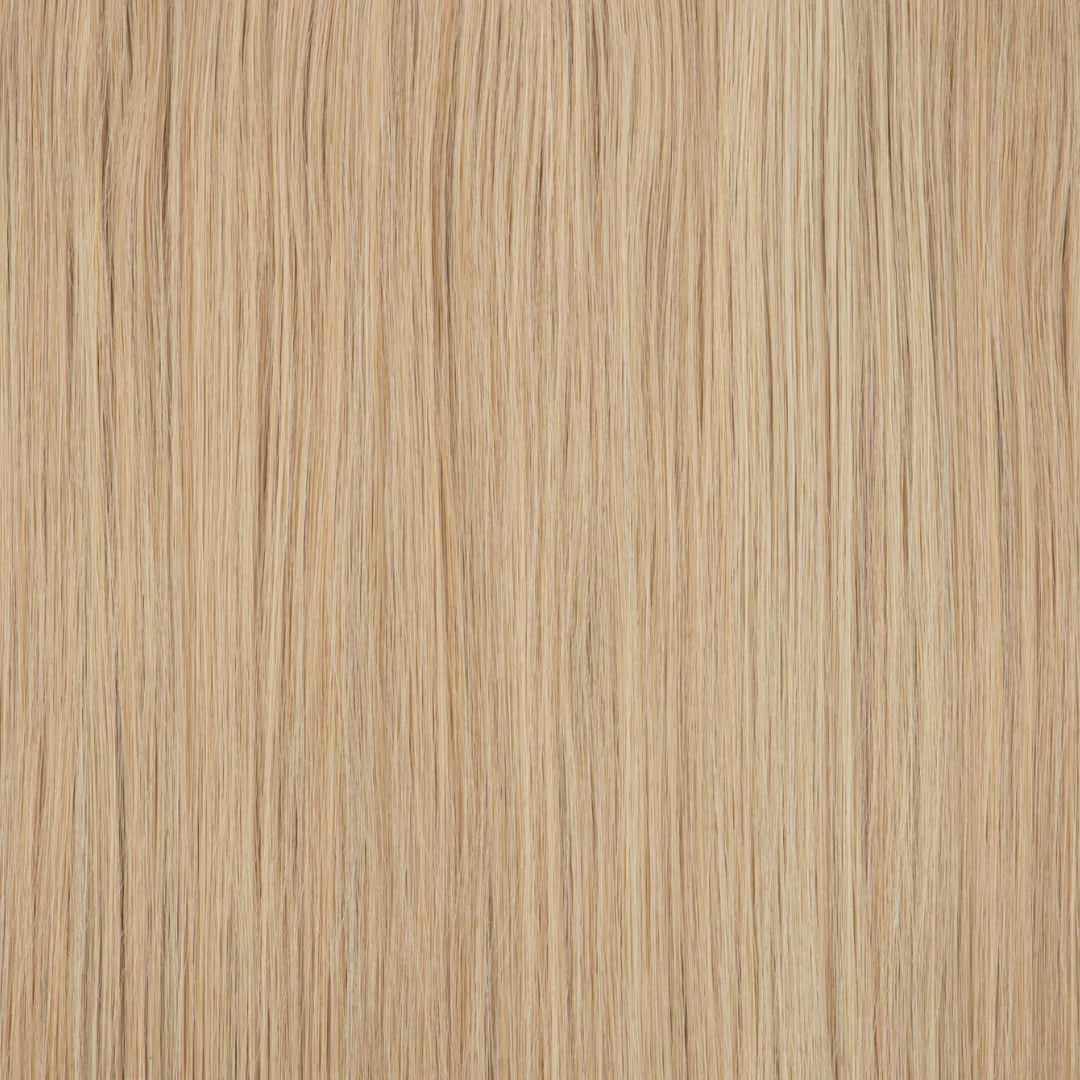 Light Ash Blonde / 22 Inch